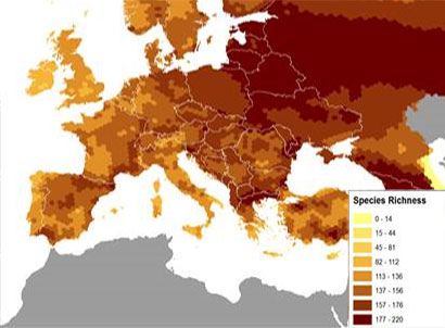 Bird species richness in Europe (source IUCN Red List)