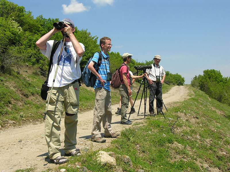 Volunteers counting birds in the Eastern Rhodopes (Photo: Gerard ter Heijne)