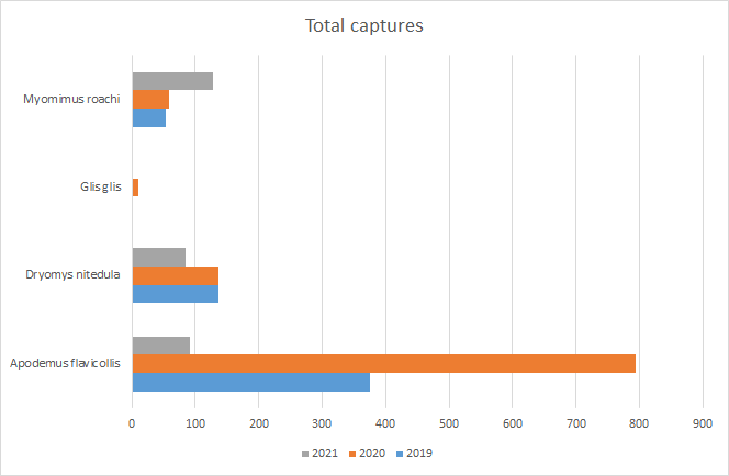 Number of individuals captured per species in the Sakar mountain region in 2019-2021