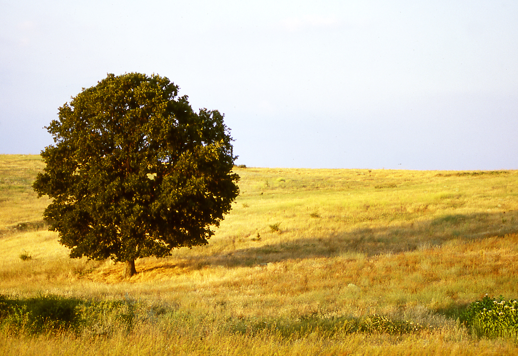 Bulgarije (Photo: Dennis Wansink)