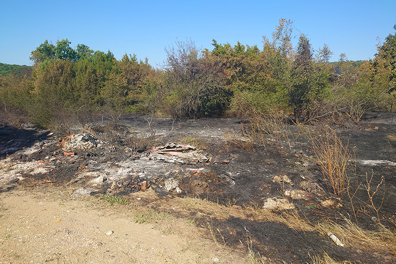 Bushfire damage Svilengrad (Photo: Nedko Nedyalkov)