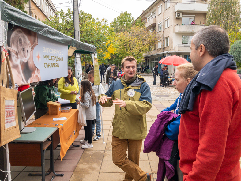 Explaining the life and threats of Myomimus roachi at the Imperial eagle festival in Topolovgrad (Photo: Dennis Wansink)