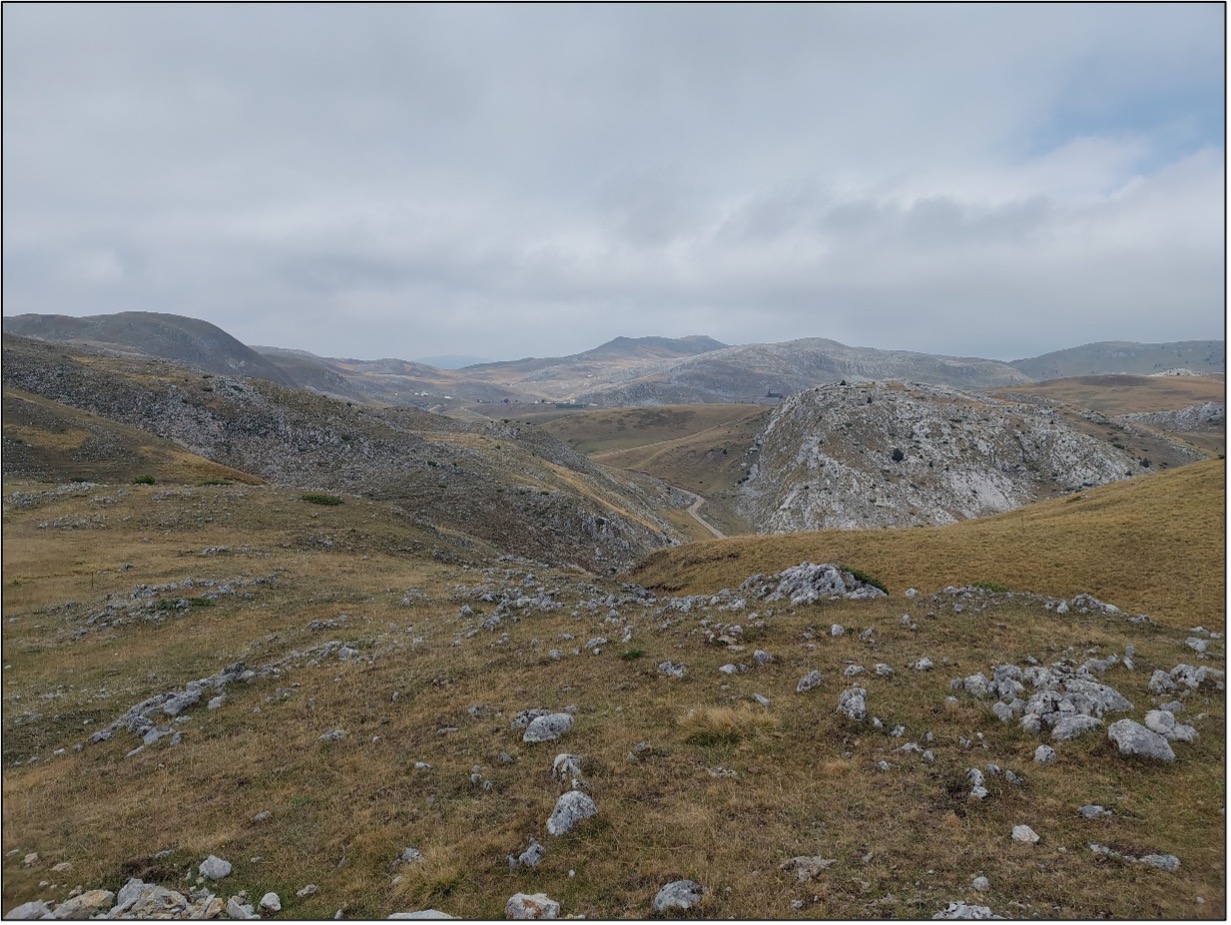 Sinjajevina mountain (Photo: Jeffrey Peereboom) Sinjajevina mountain (Photo: Jeffrey Peereboom)