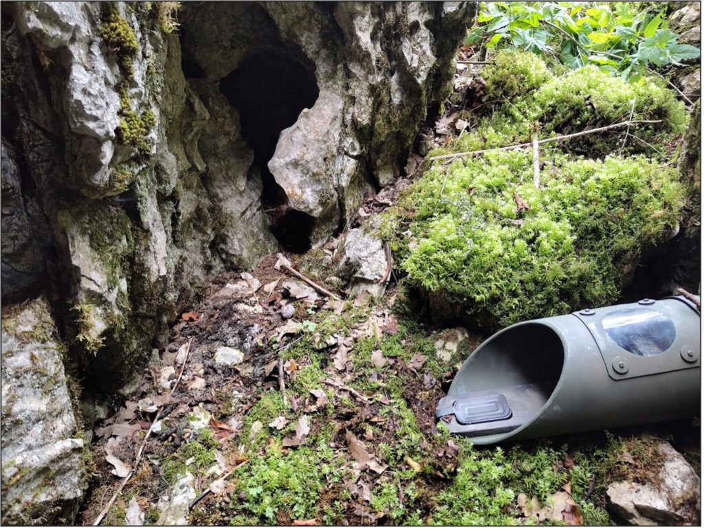 A Bush Bandit in position (Photo: Jeffrey Peereboom)