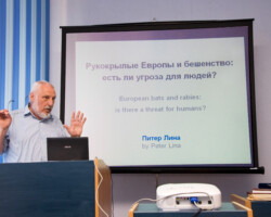 Peter Lina is chairman of the Advisory Committee to EUROBATS (the Bat Agreement of CMS). Peter Lina gives a lecture at the seminar 'Bat research and conservation in Belarus' (Photo: Dennis Wansink)