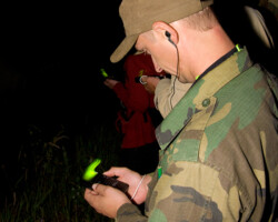 Participants of the workshop 'Bat research and conservation in Belarus' learn to use a bat detector (Photo: Dennis Wansink)