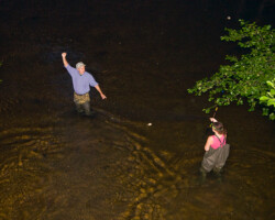 Mistnetting bats in Belarus during the workshop 'Bat research and conservation in Belarus'. With Lena Godlebska.